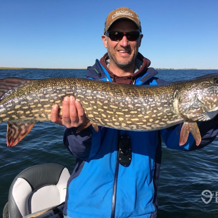 Alberta Fishing Charters – Pike – Walleye!