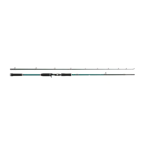 Abu Garcia Beast X Casting Rod