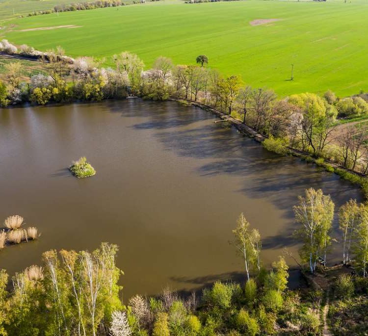 Catlake Pohan
