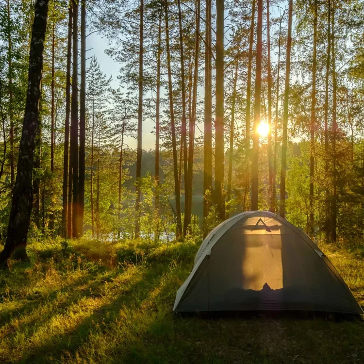 Outdoor